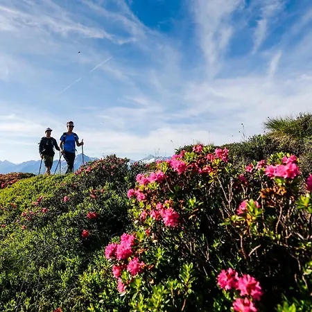 Stoanerhof Hotel Mayrhofen