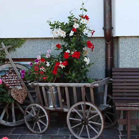 Szálloda Stoanerhof 3*