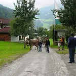 Hotel Gasthof Stoanerhof 3* Mayrhofen